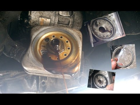 Фото в бортжурнале Volkswagen Passat B5
