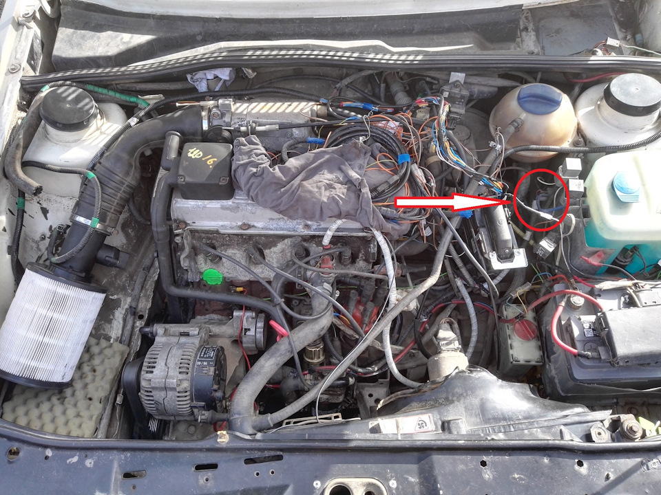 Фото в бортжурнале Volkswagen Golf Mk2