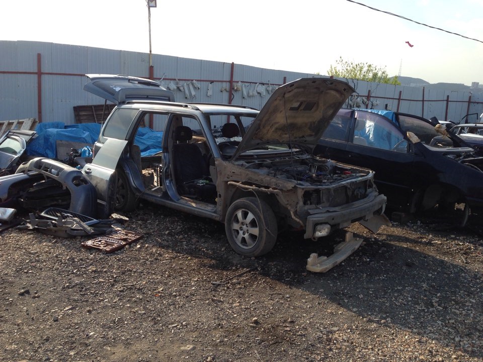 Фото в бортжурнале Subaru Forester (SF)