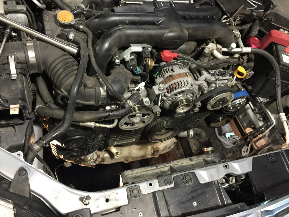 Фото в бортжурнале Subaru Forester (SH)