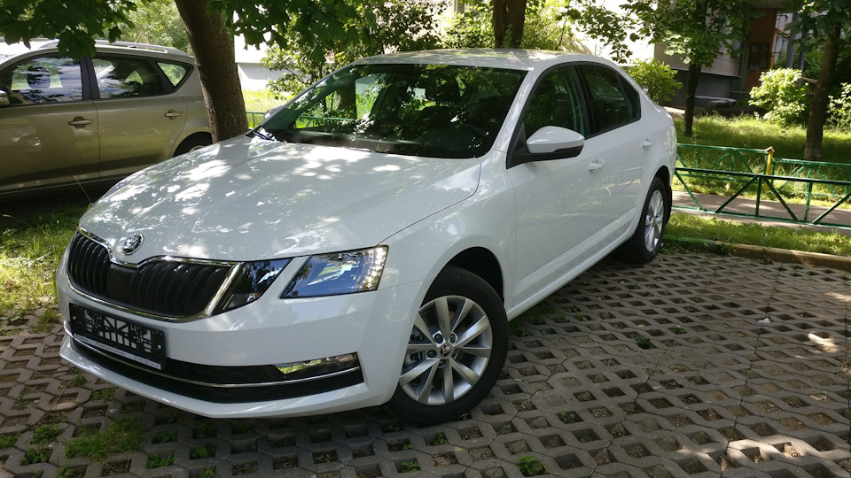 Skoda Octavia А7 Шкодливая блондинка