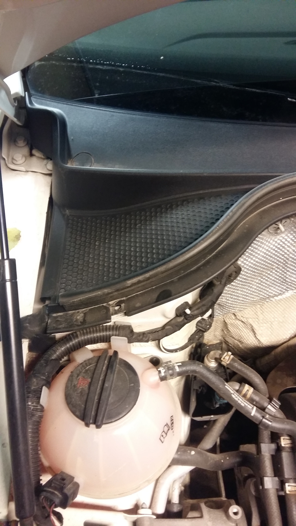 Фото в бортжурнале Volkswagen Tiguan (1G)