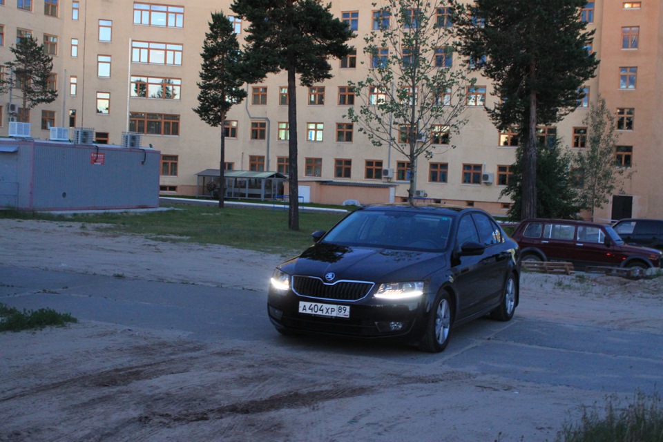 Фото в бортжурнале Skoda Octavia A7 Mk3