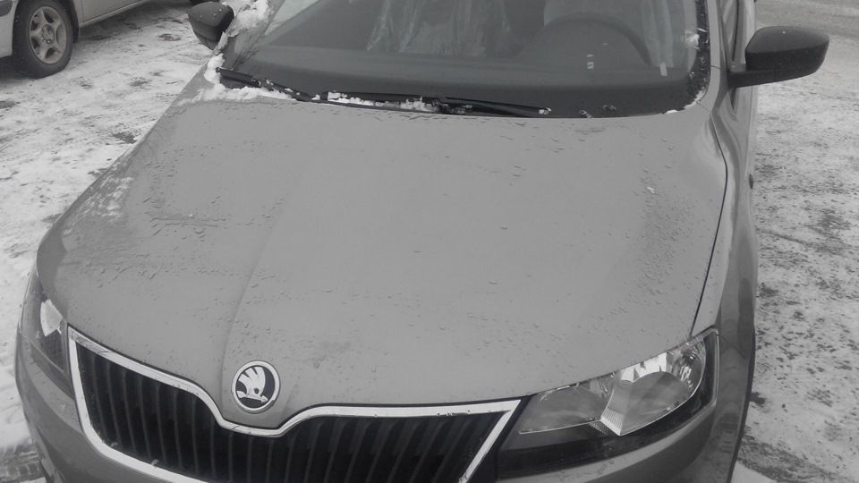 Skoda Rapid 1.6л бензин