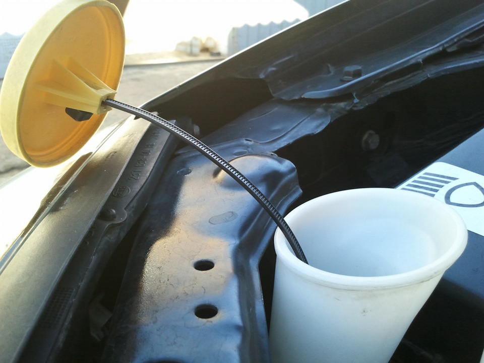 Фото в бортжурнале Nissan Primera (P12)