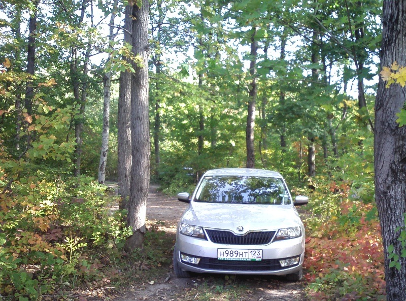 На Фабии с европодвеской мы бы сюда не заехали. — Skoda Rapid (1G)