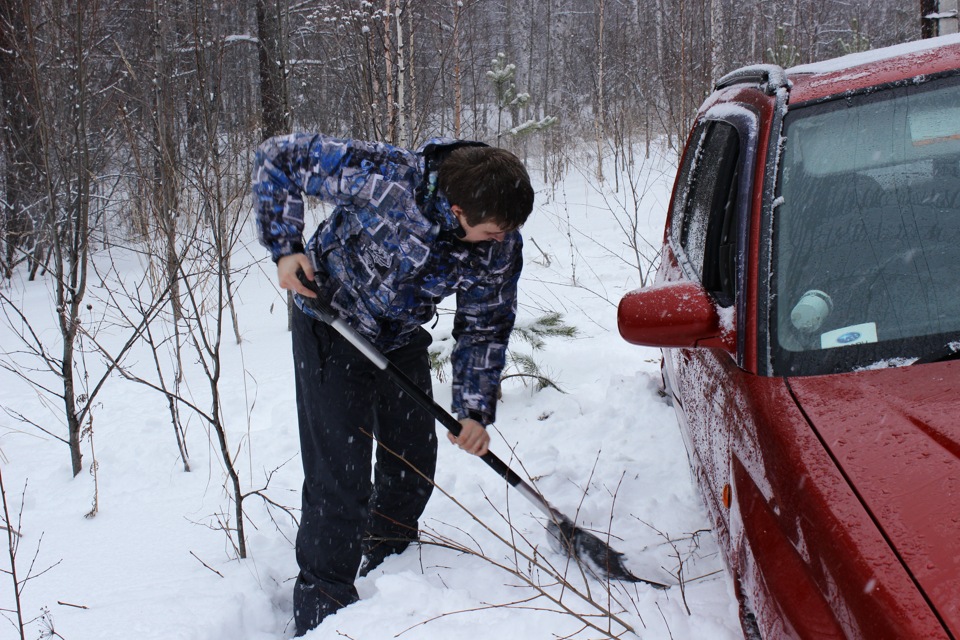Фото в бортжурнале Subaru Forester (SF)