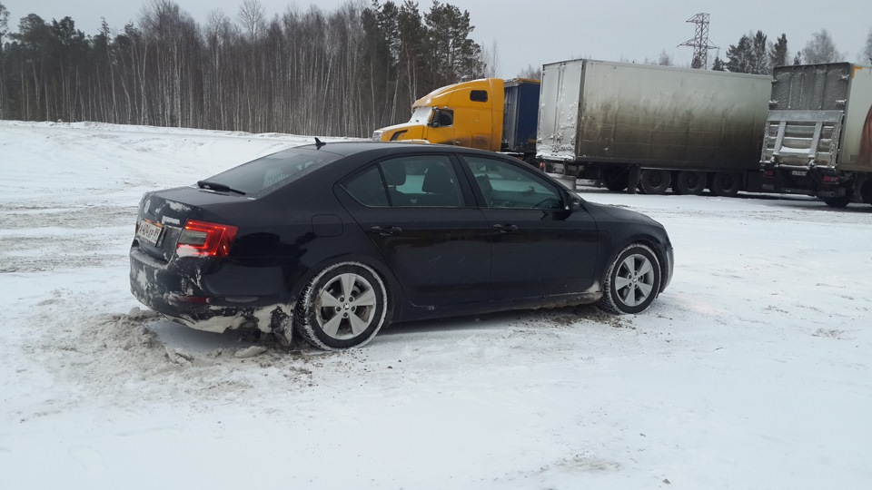 Фото в бортжурнале Skoda Octavia A7 Mk3