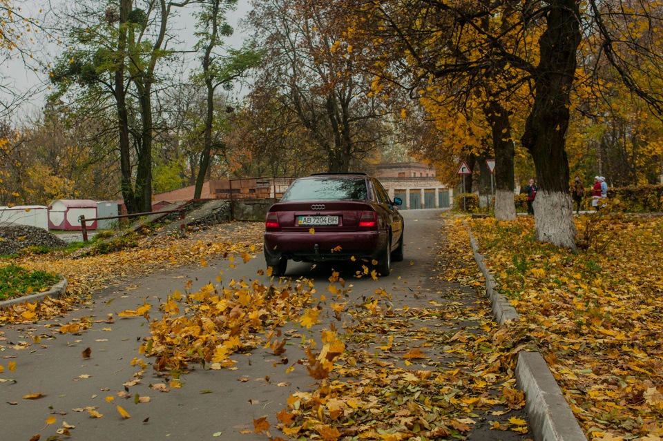 Фото в бортжурнале Audi A4 (B5)