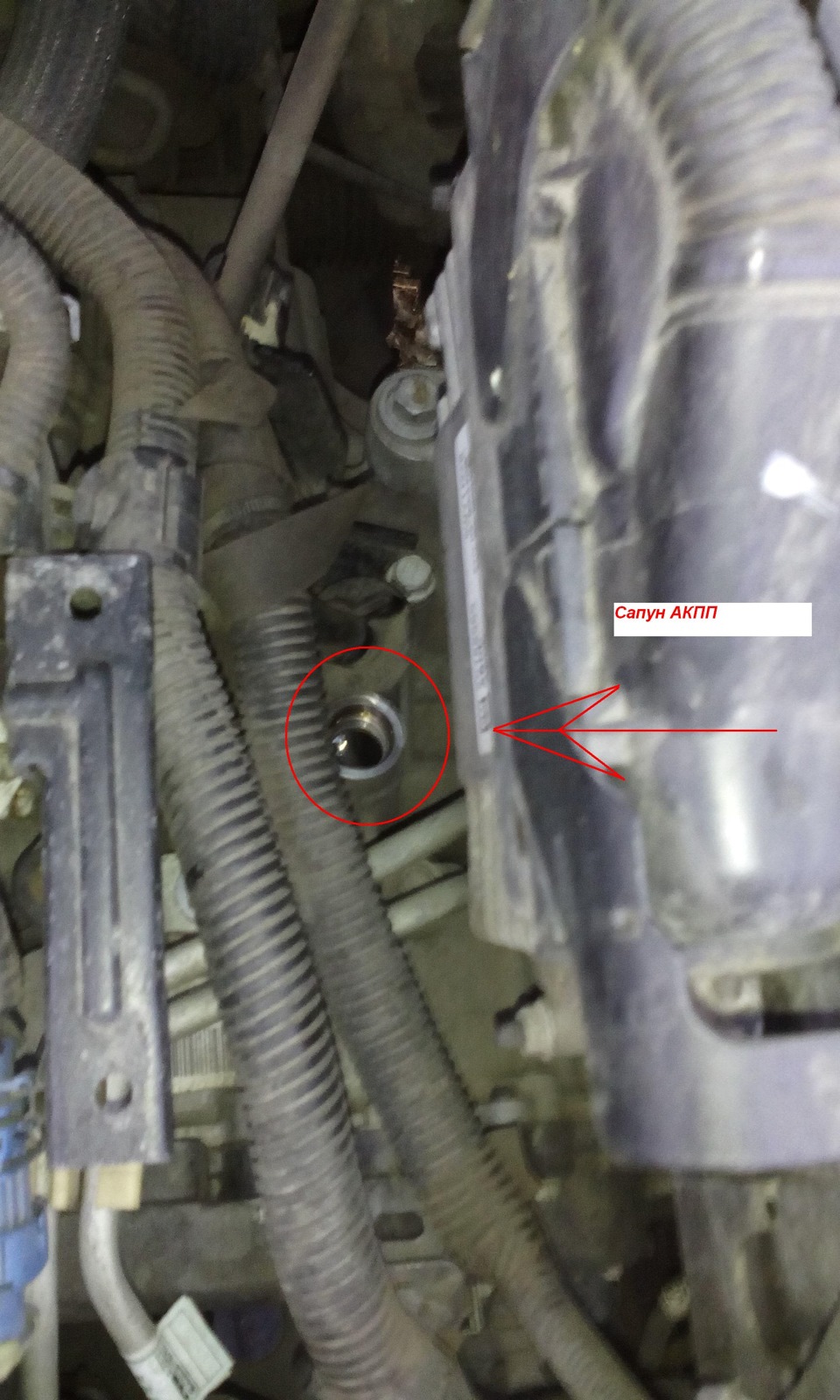 Фото в бортжурнале Chevrolet Cruze (1G)