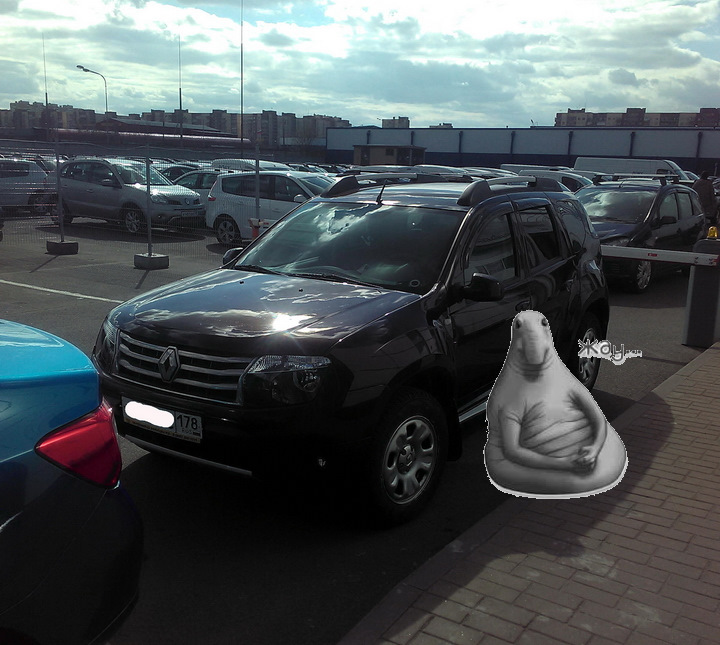 Фото в бортжурнале Renault Duster (1G)