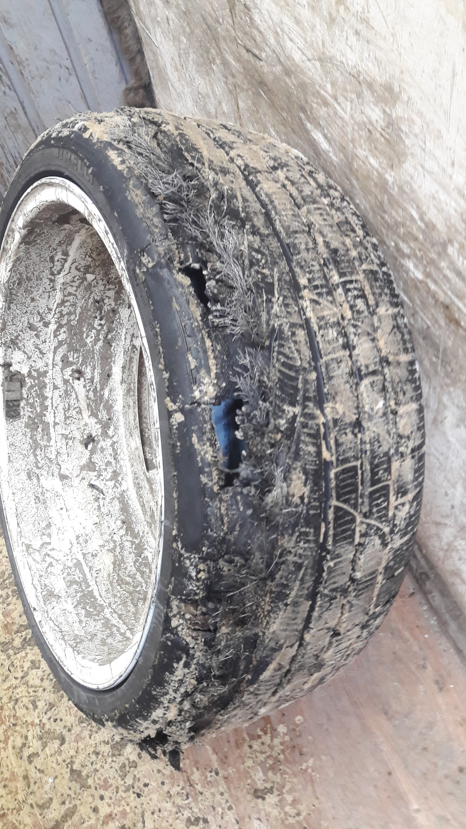 Фото в бортжурнале Opel Astra H OPC