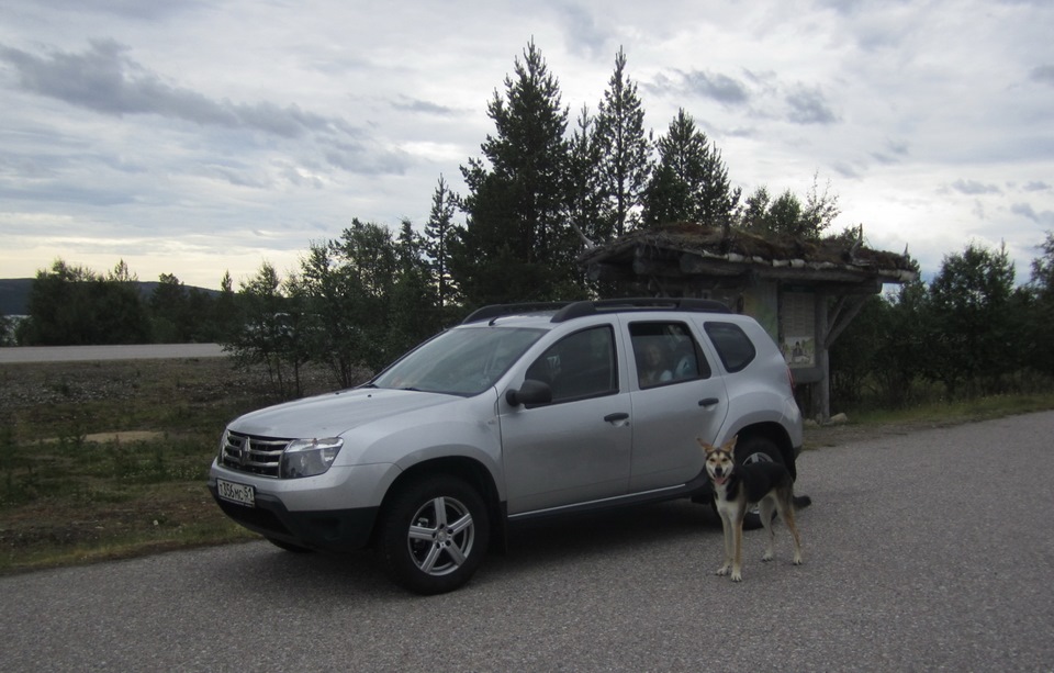 Виновница бюрократического бардака — Renault Duster (1G)