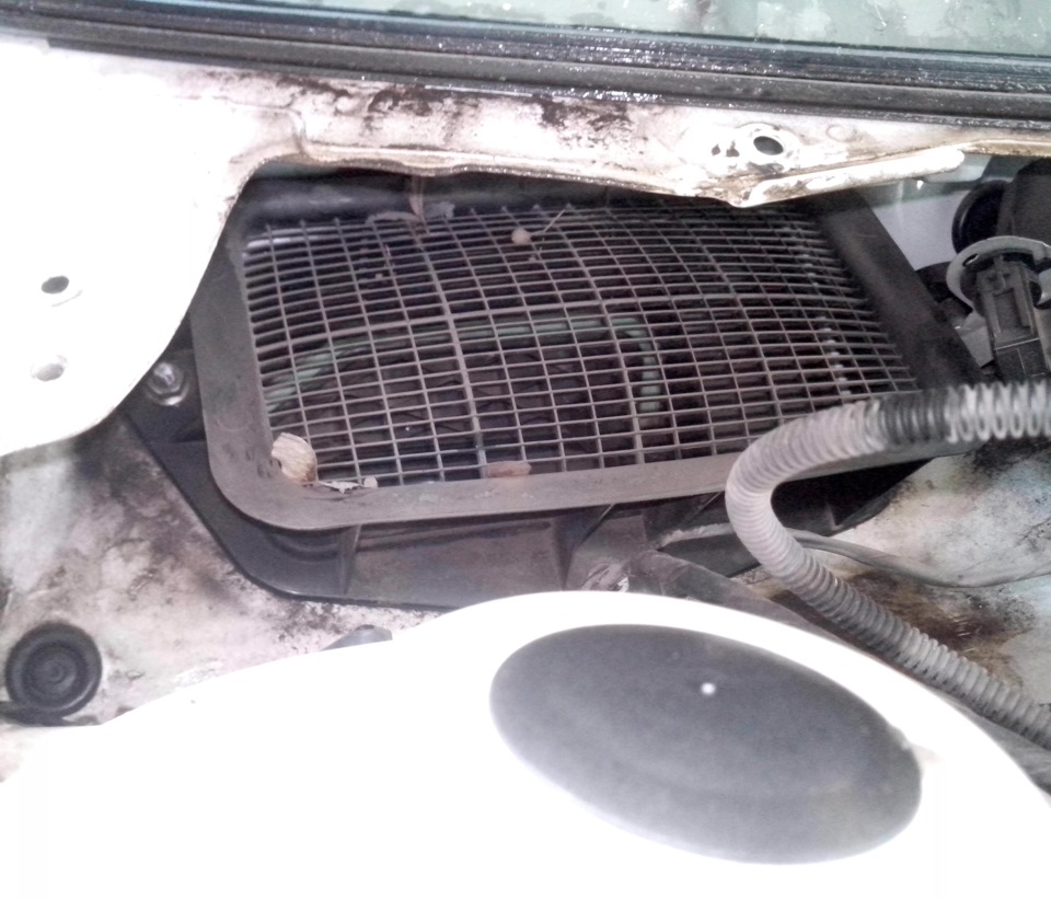Фото в бортжурнале Skoda Octavia A5 Mk2