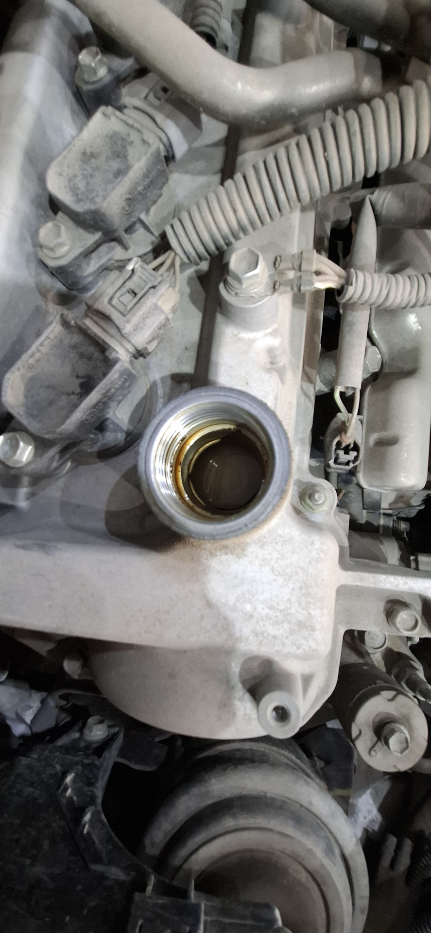 Фото в бортжурнале Toyota Aqua (1G)