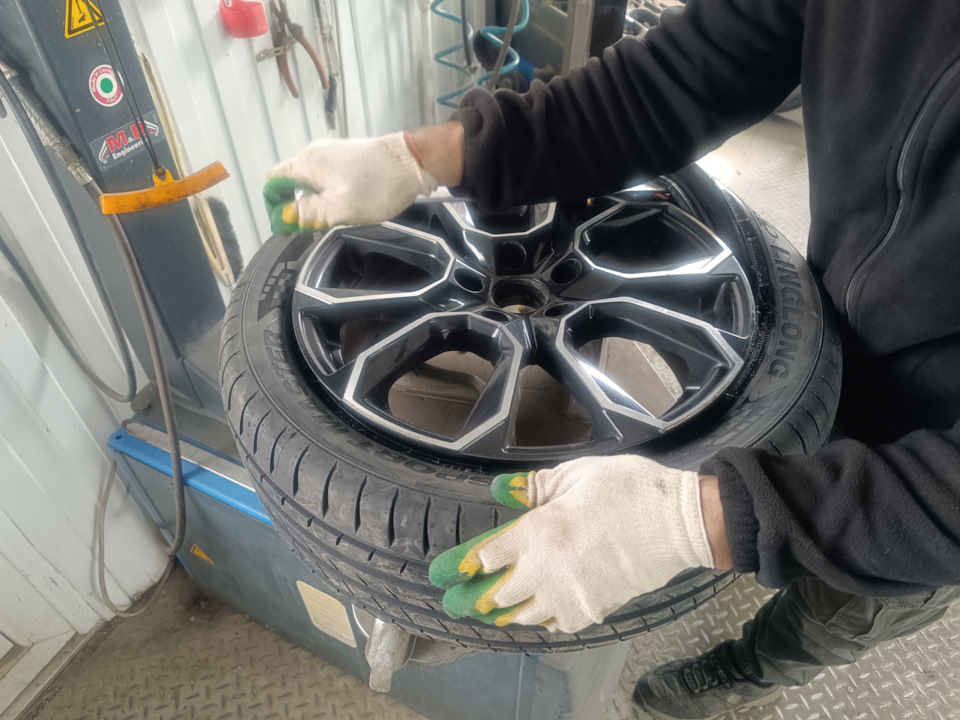 Фото в бортжурнале Skoda Octavia A8 Mk4