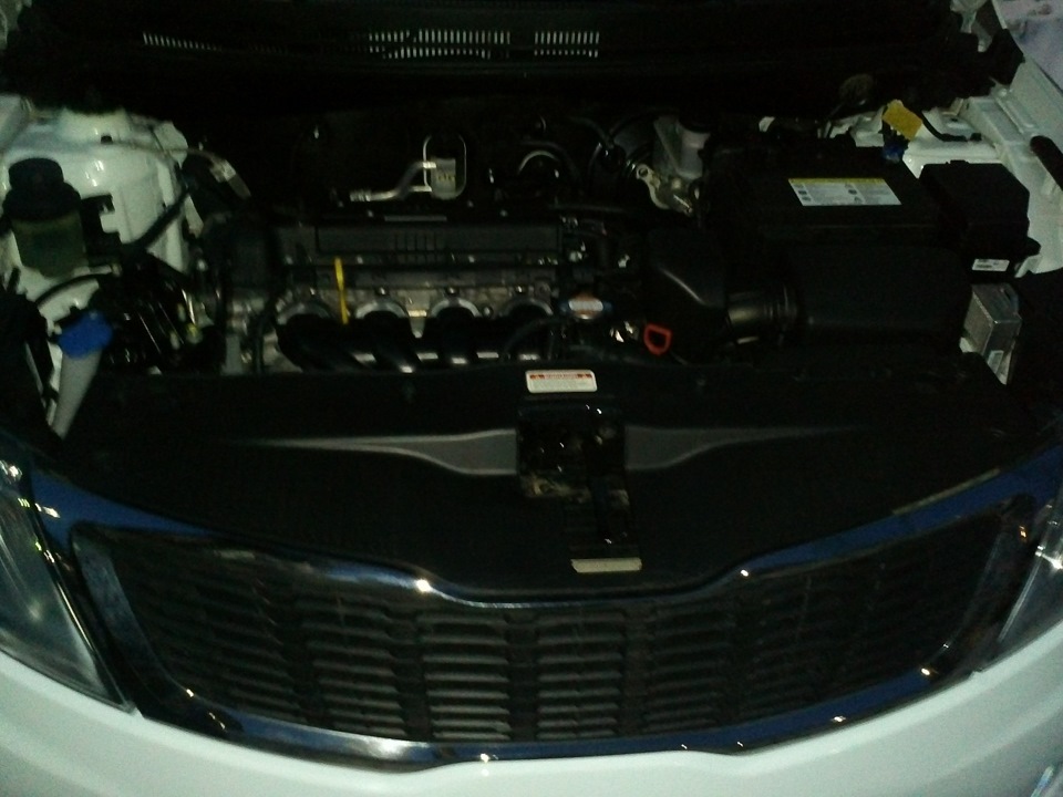 Фото в бортжурнале KIA Rio (3G)