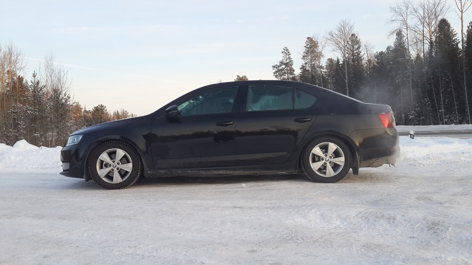 Фото в бортжурнале Skoda Octavia A7 Mk3