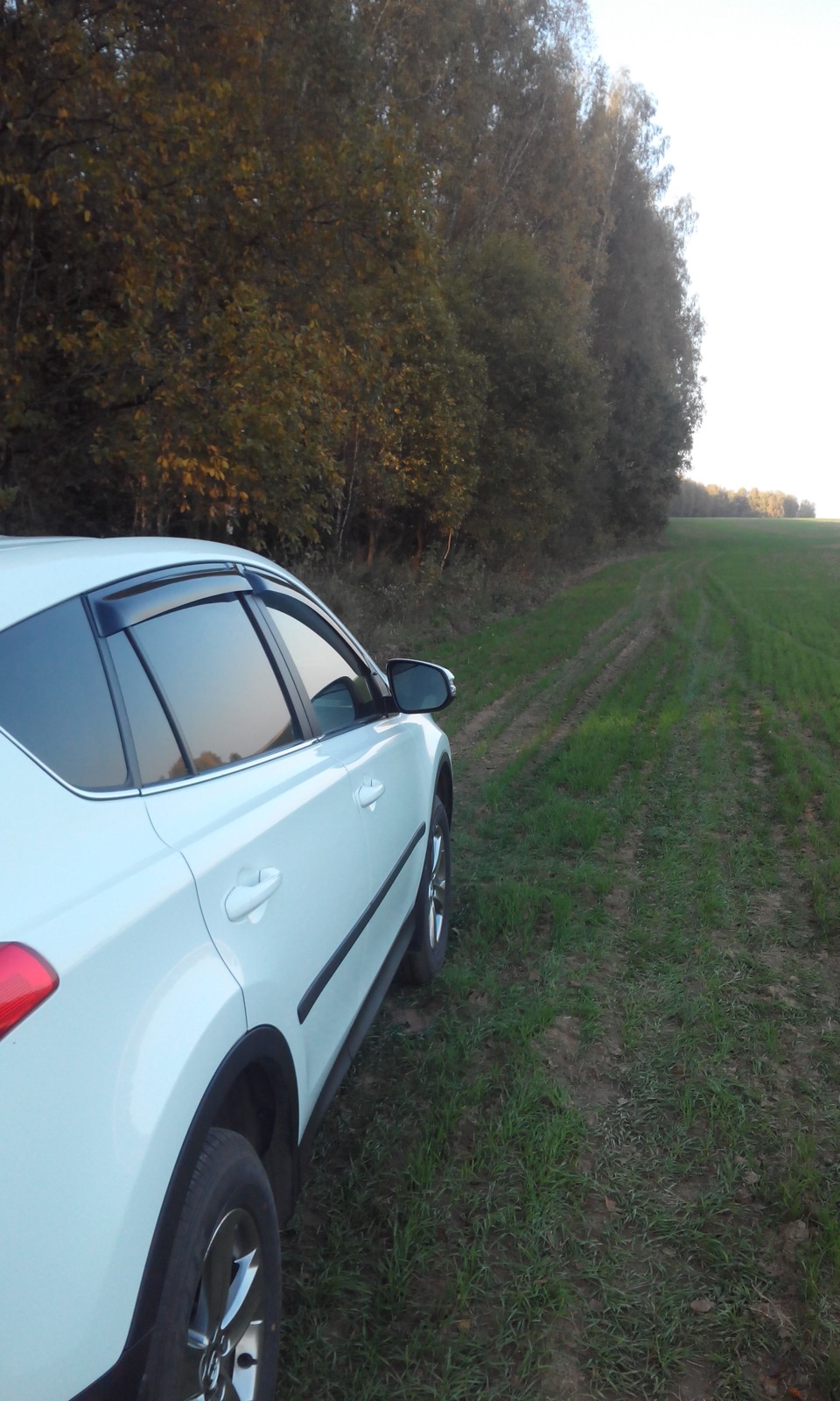 Фото в бортжурнале Toyota RAV4 (IV)