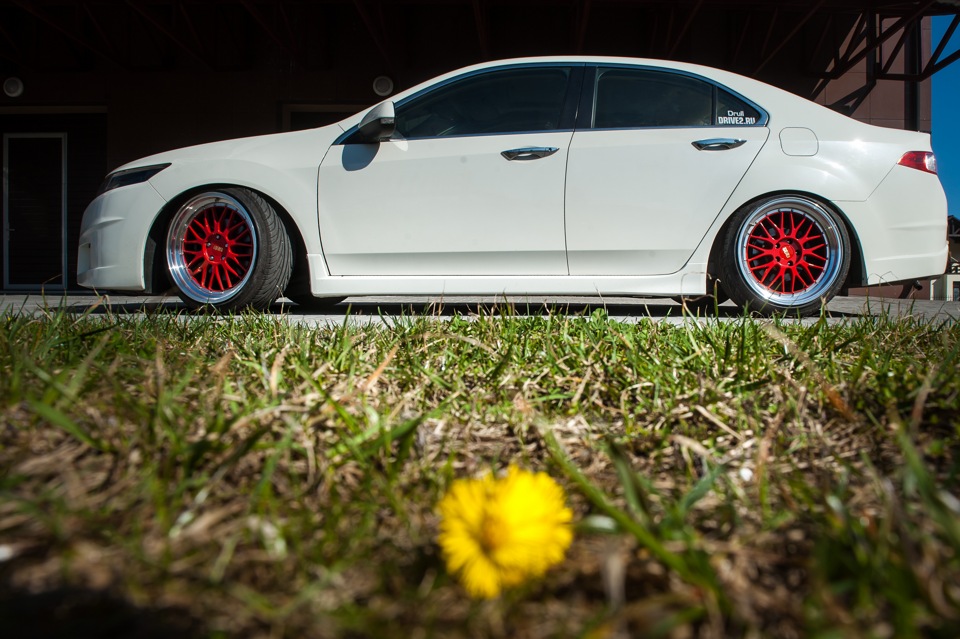 Фото в бортжурнале Acura TSX (2G)