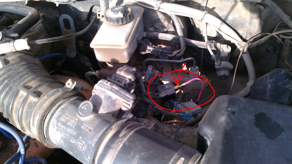 Фото в бортжурнале KIA Sportage (1G)
