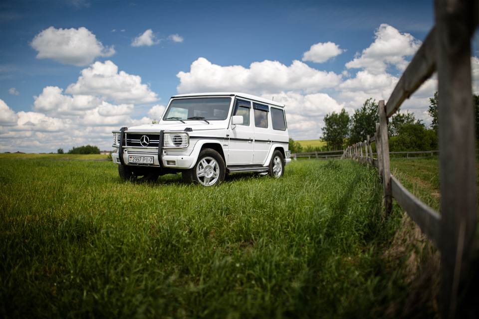 Фото в бортжурнале Mercedes-Benz G-Class (W463 1G)