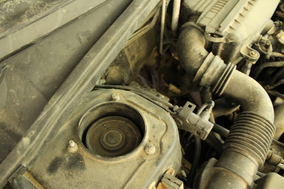 Фото в бортжурнале Subaru Forester (SG)