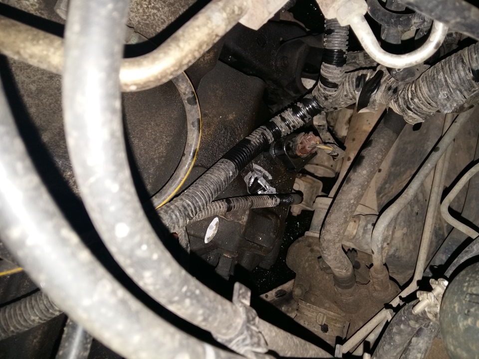 Фото в бортжурнале Nissan Primera (P11)
