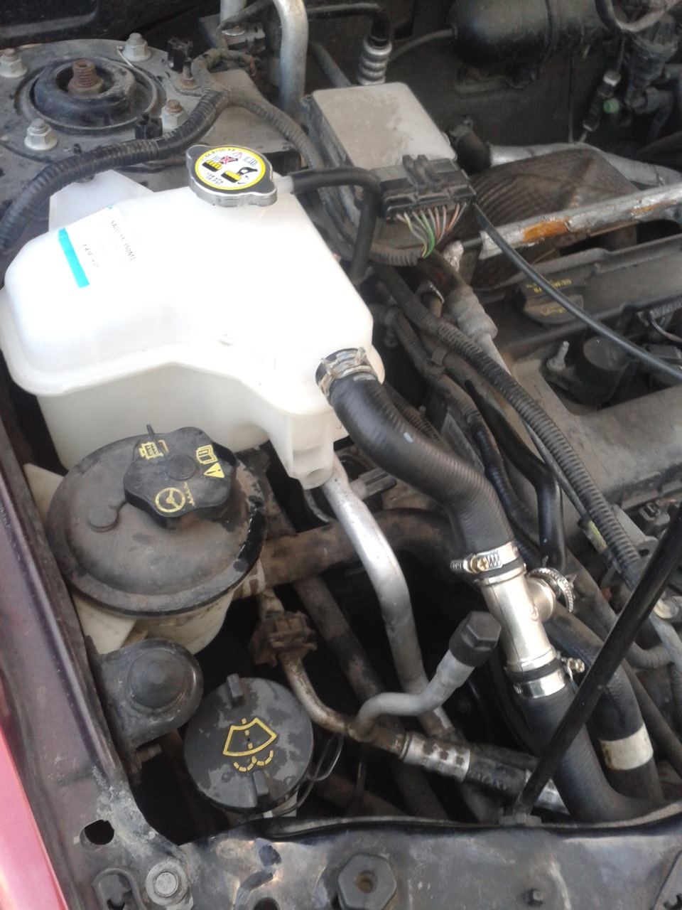 Фото в бортжурнале Ford Escape (1G)