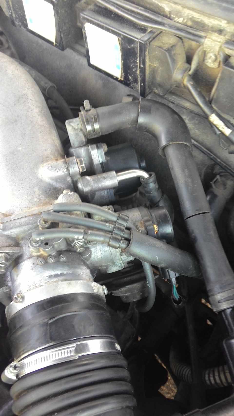 Фото в бортжурнале Toyota Windom (10)