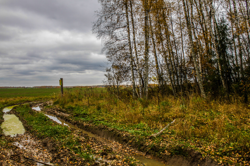 Фото в бортжурнале Jeep Cherokee (XJ)