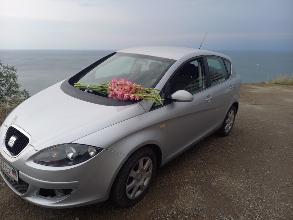 Фото в бортжурнале SEAT Toledo (3G)