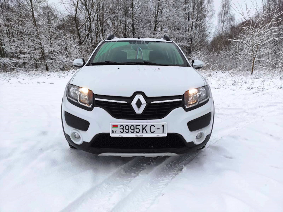 Фото в бортжурнале Renault Sandero Stepway (2G)