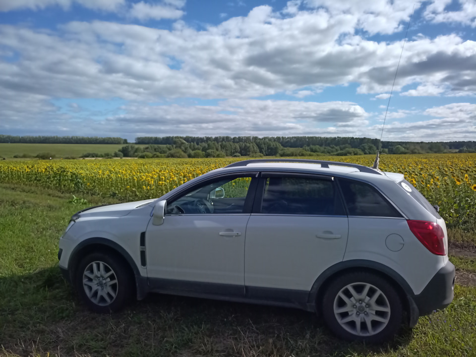 Остановились у поля с подсолнухами. — Opel Antara