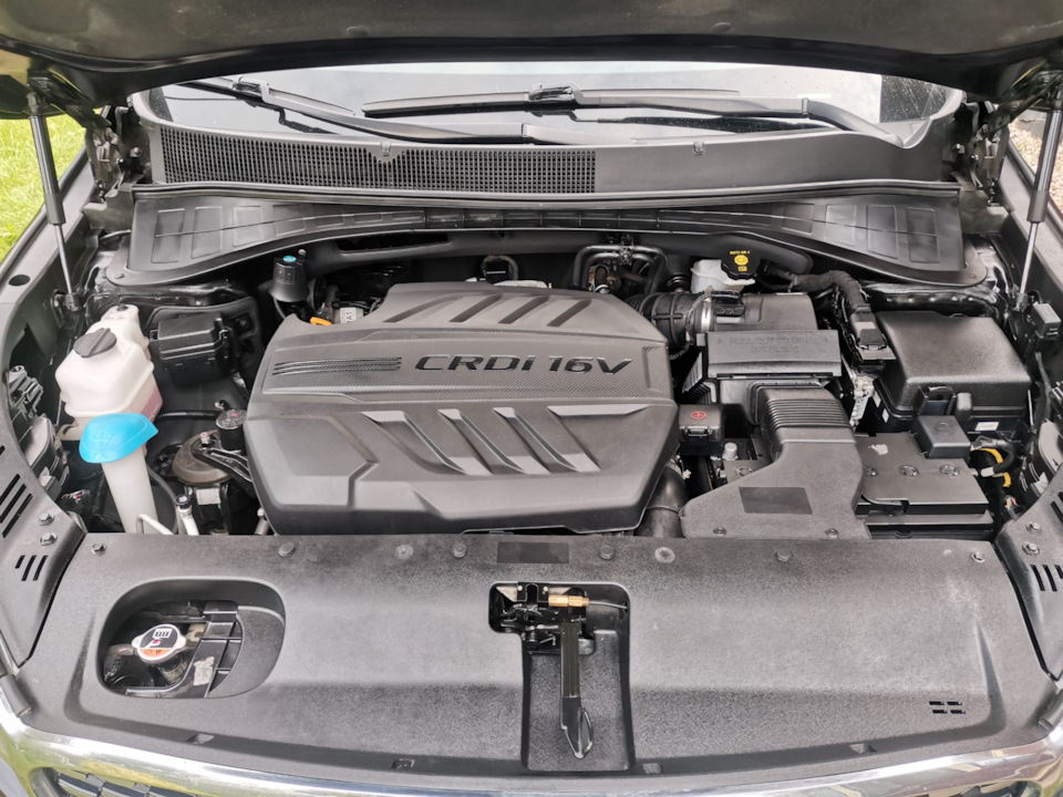 Фото в бортжурнале KIA Sorento (3G)