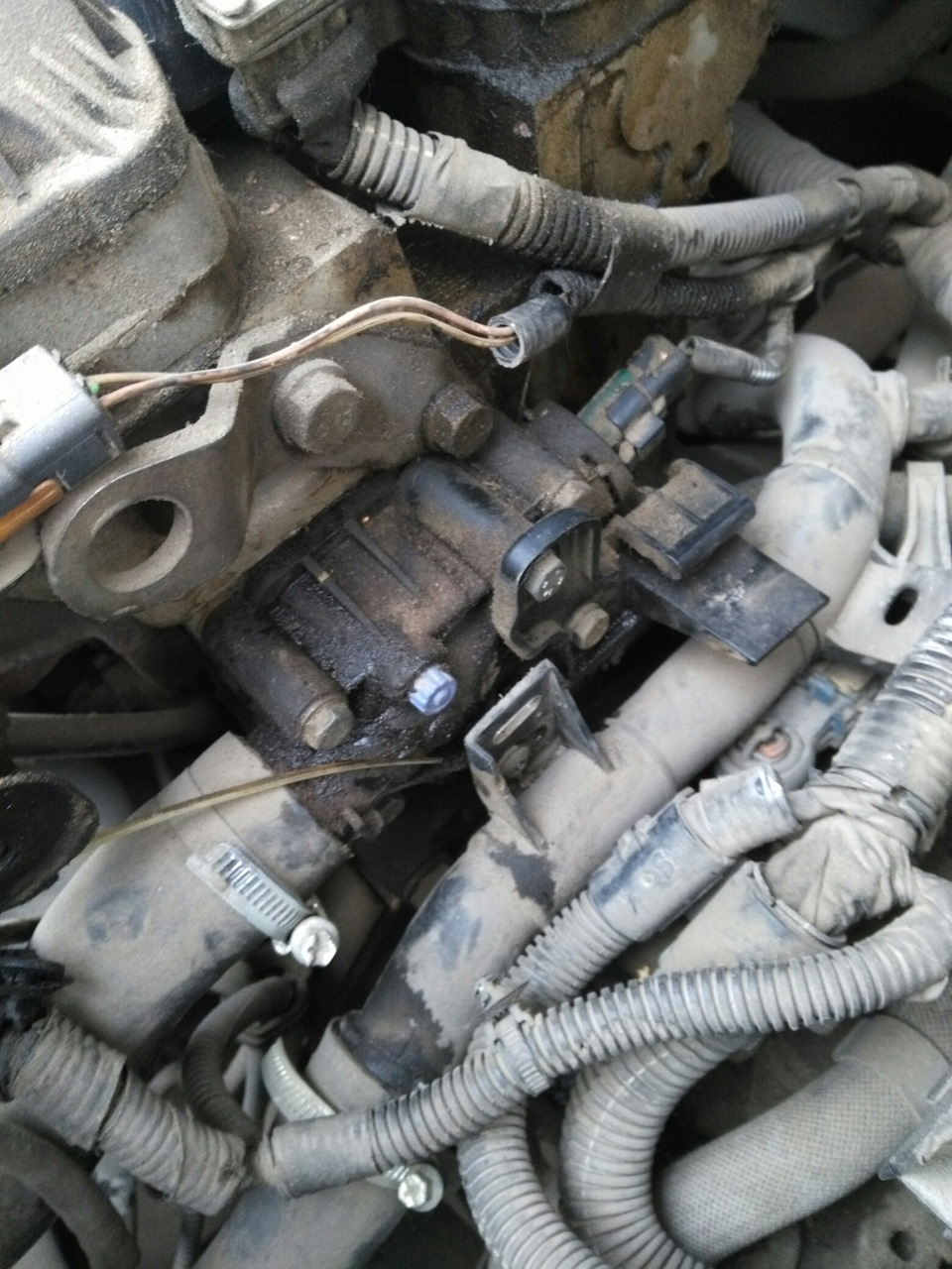 Photo from the logbook Peugeot 307