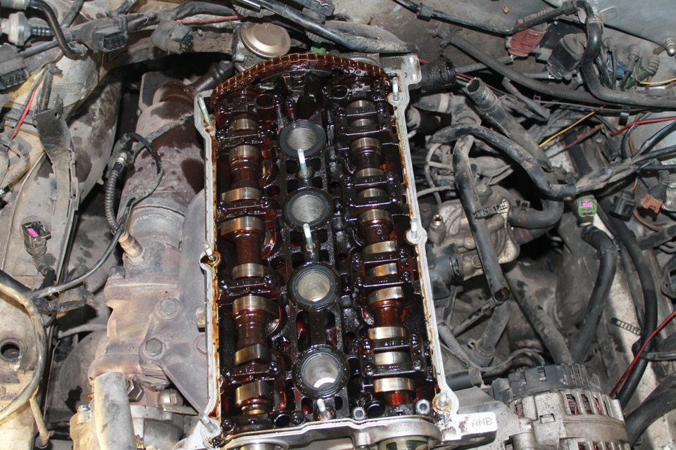 Фото в бортжурнале Volkswagen Passat B5