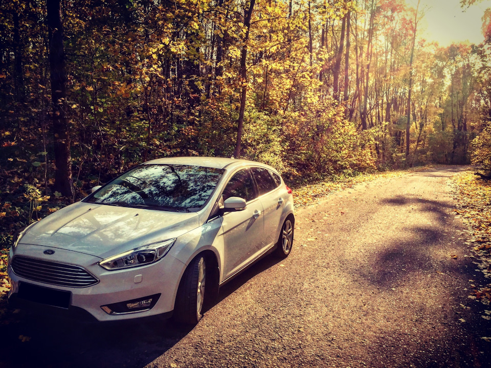 Фото в бортжурнале Ford Focus Hatchback III