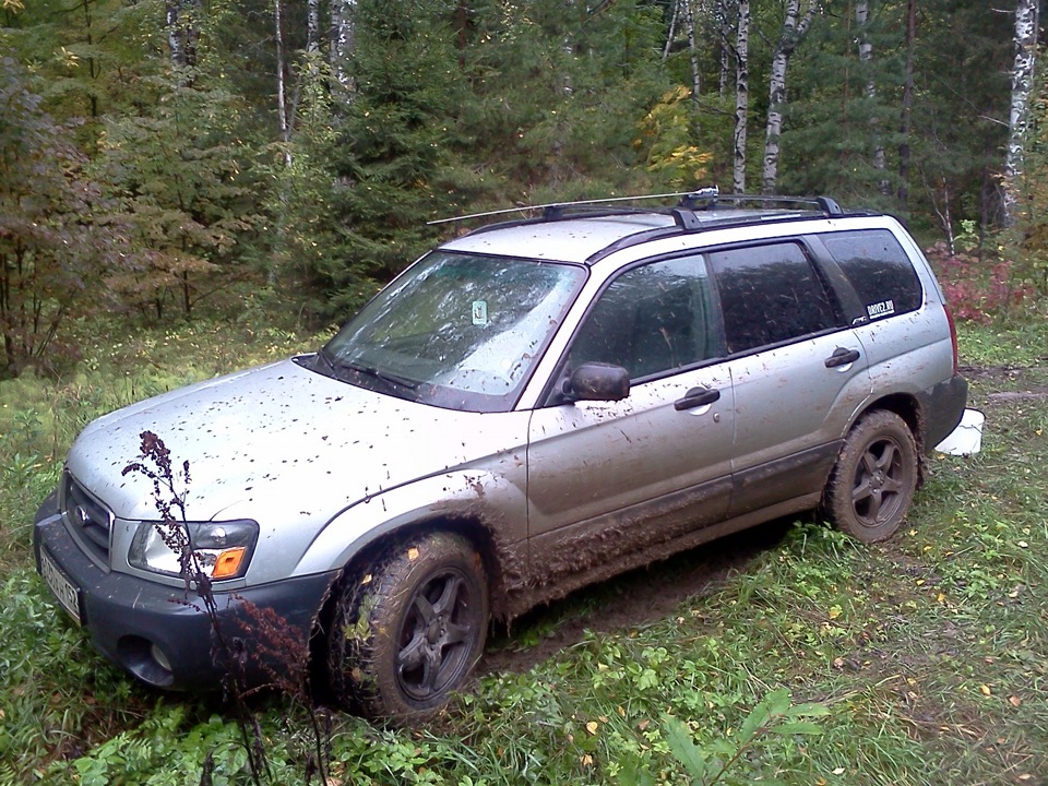 Фото в бортжурнале Subaru Forester (SG)