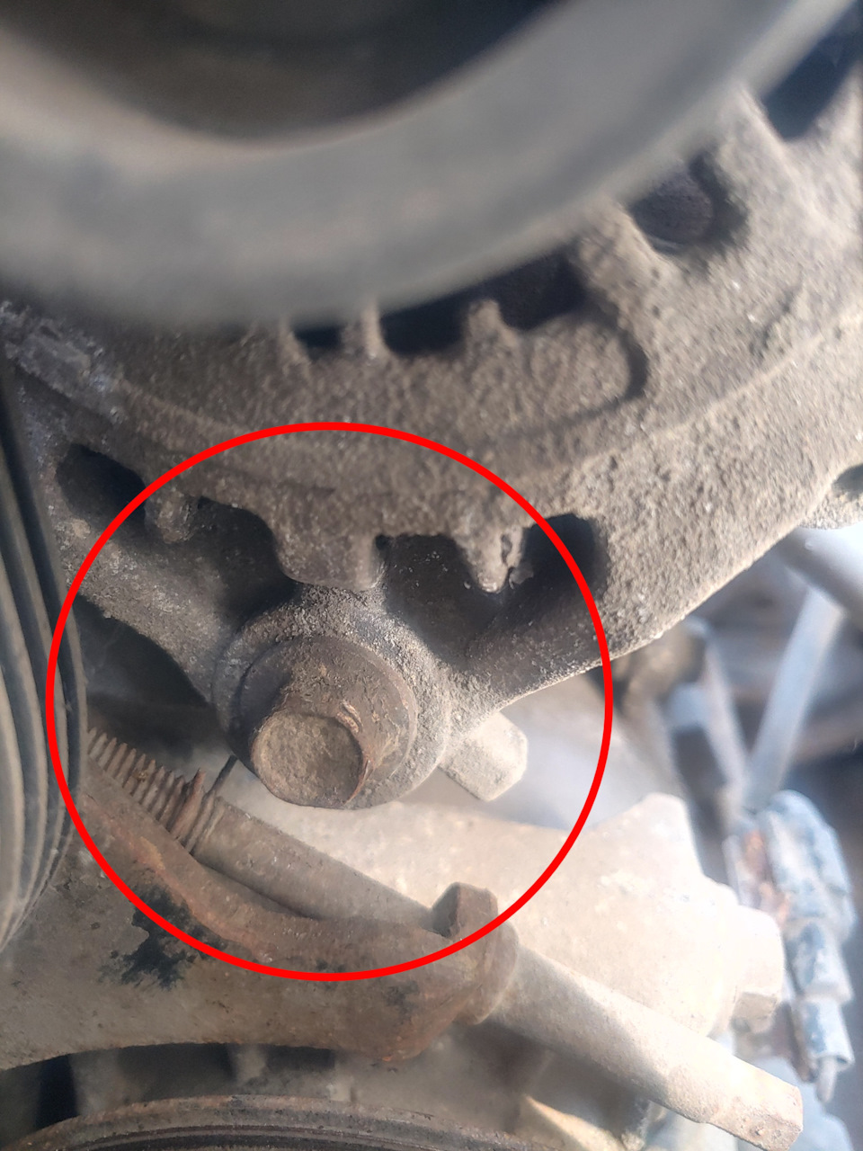 Фото в бортжурнале Nissan Primera (P12)