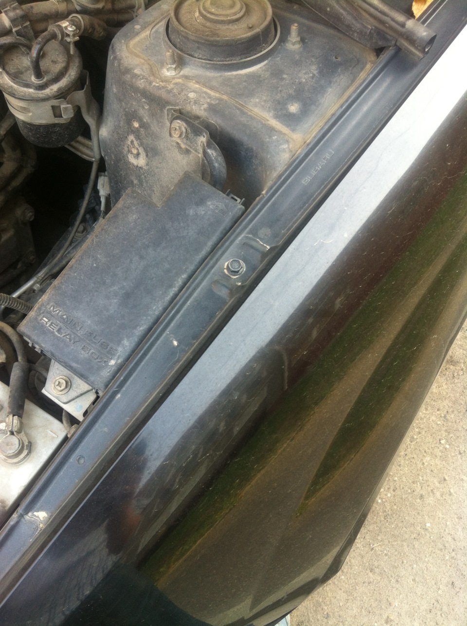 Фото в бортжурнале Subaru Forester (SG)