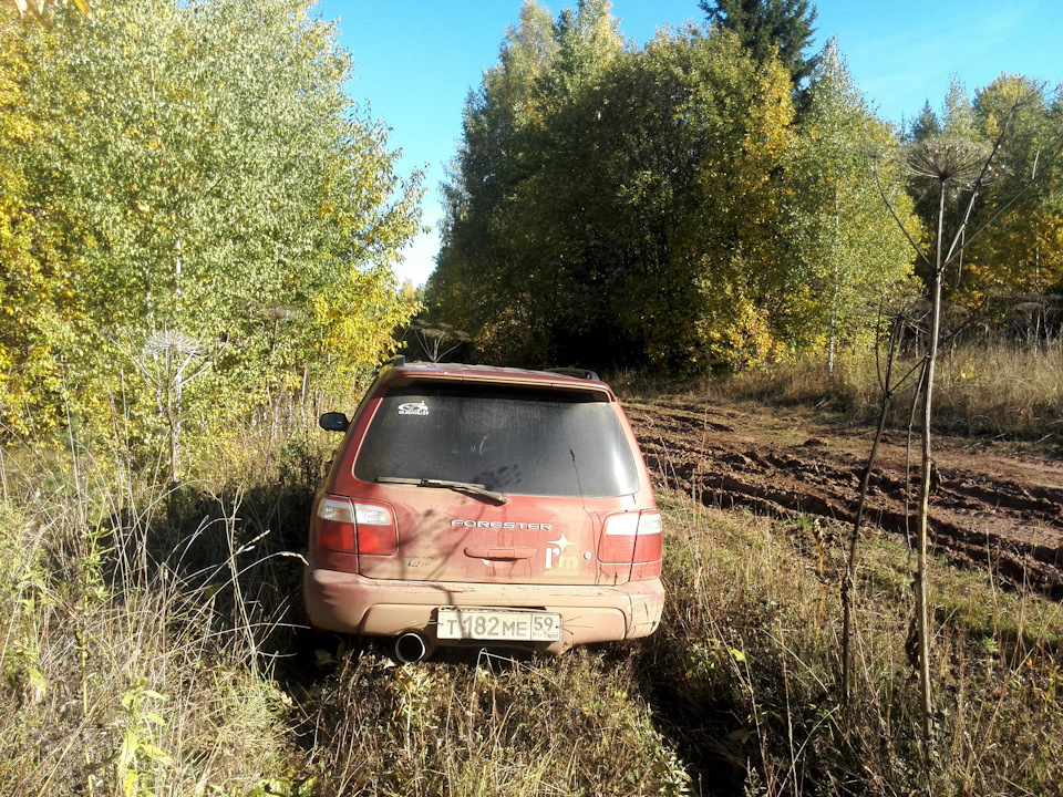 Фото в бортжурнале Subaru Forester (SF)