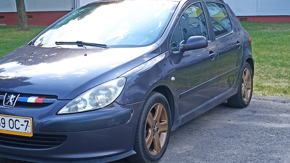 Peugeot 307 Фенечка