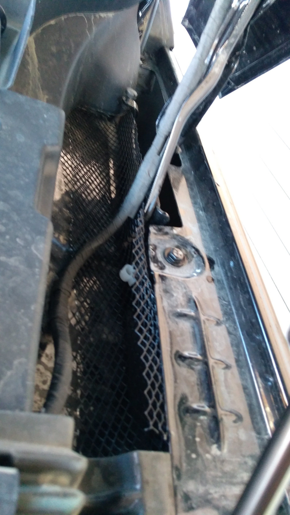 Фото в бортжурнале Skoda Kodiaq (1G)