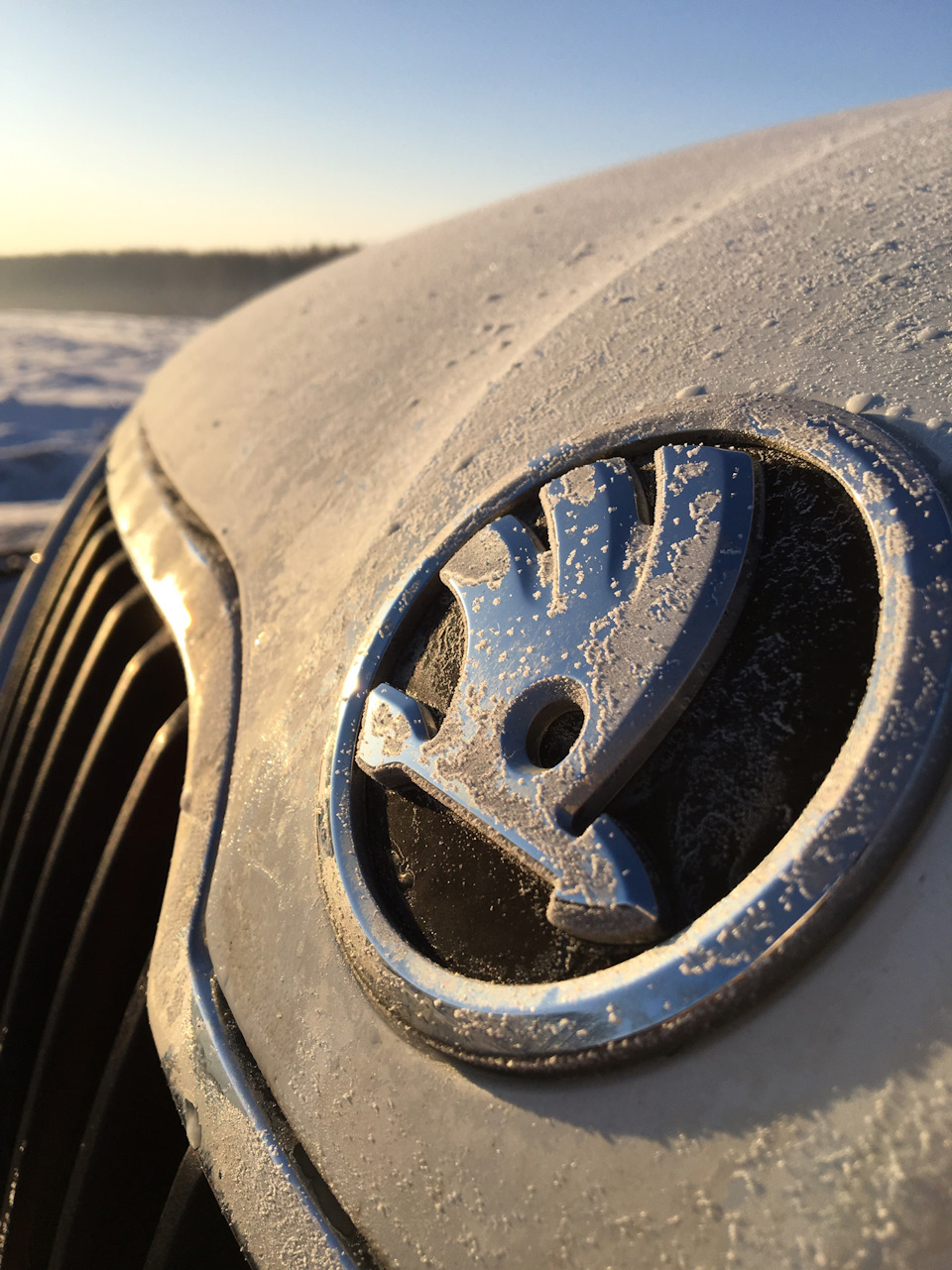 Фото в бортжурнале Skoda Rapid (1G)