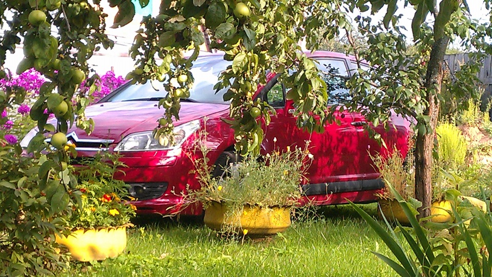 Citroen C4 1.6 на палке