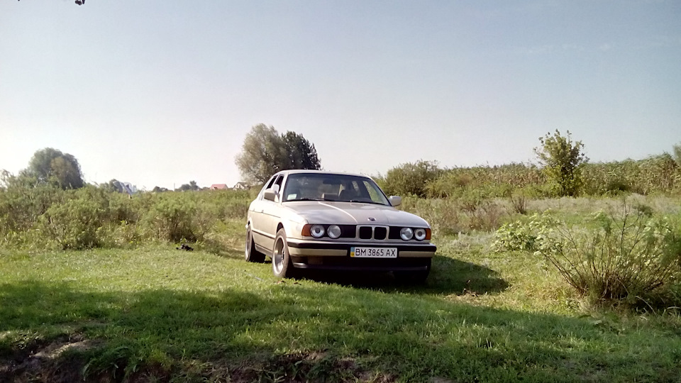 Фото в бортжурнале BMW 5 series (E34)