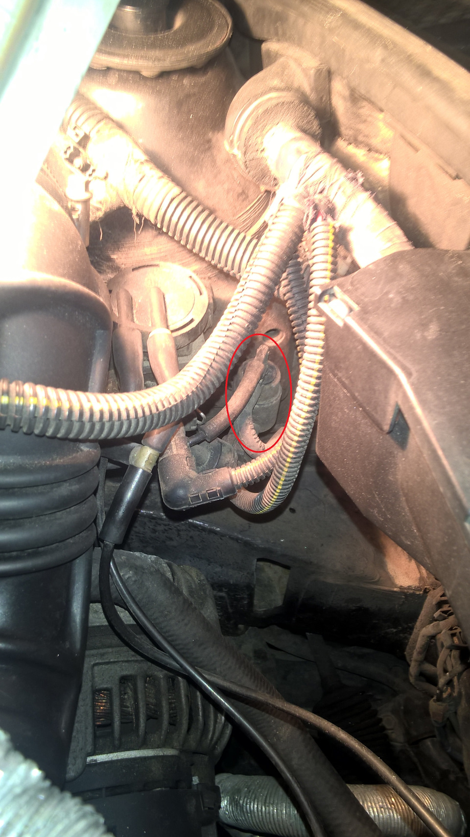 Фото в бортжурнале Opel Vectra B
