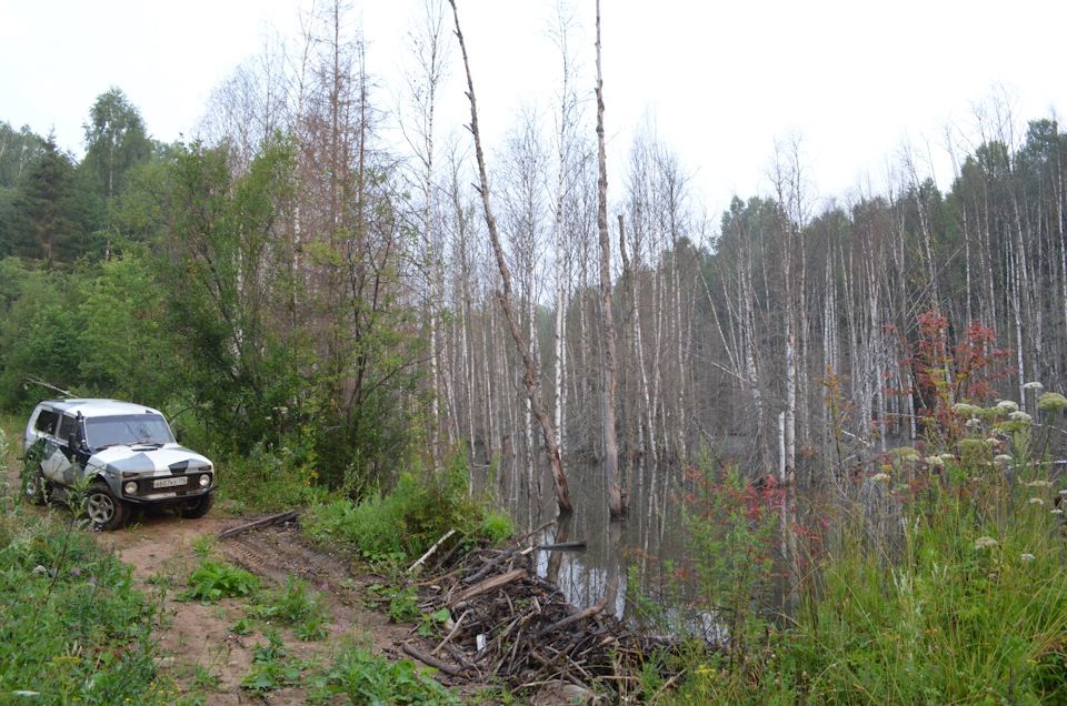 бобровая платина — Lada 4x4 3D