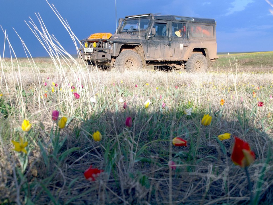 Фото в бортжурнале Land Rover Defender (L315/L316)